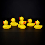 7-happy-little-yellow-duck